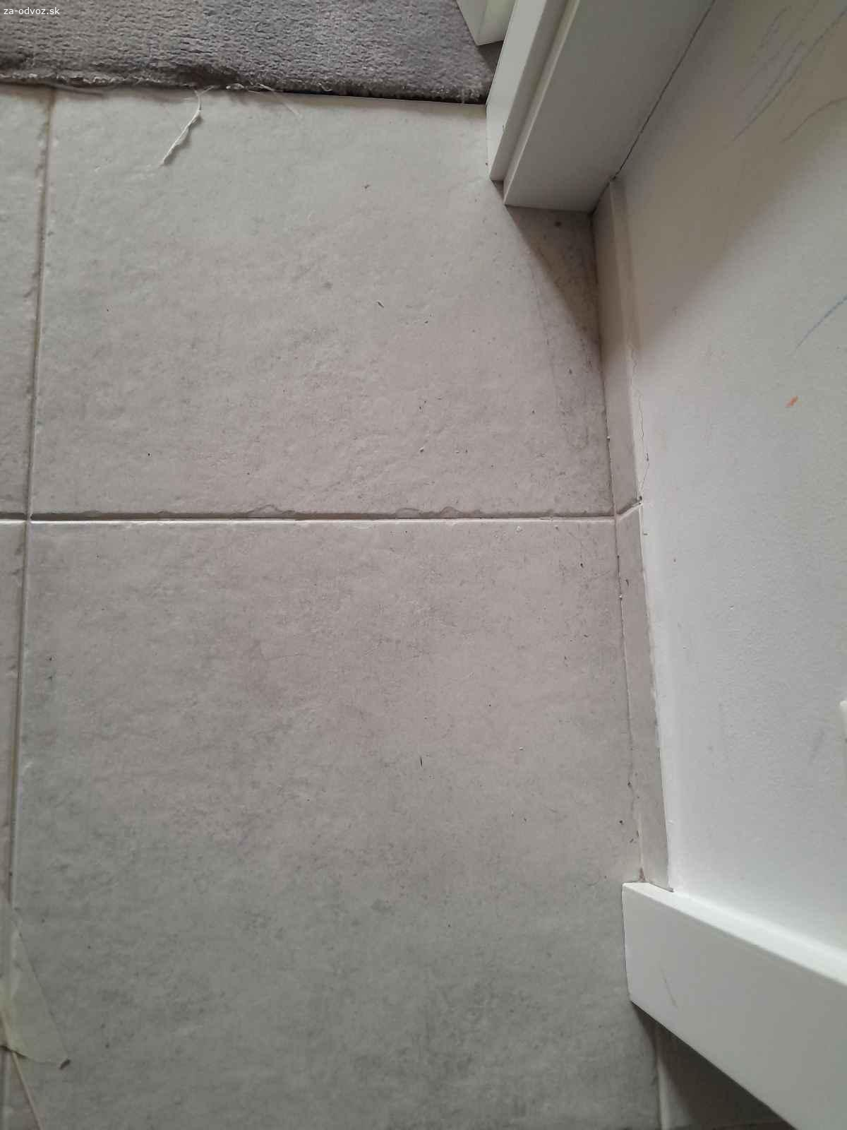 Darujem bielu dlazbu