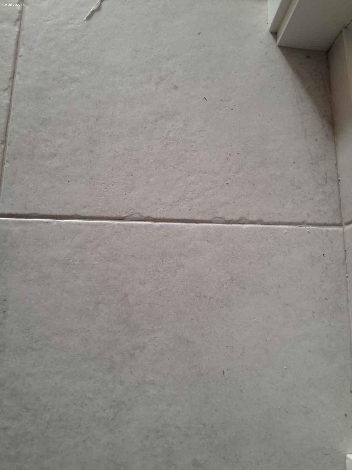 Darujem bielu dlazbu