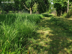 Darujem cerstvo pokosenu travu
