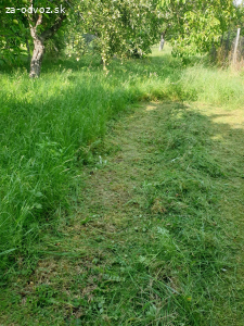 Darujem cerstvo pokosenu travu