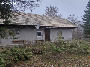 Darujem drevenicu za odvoz- treba rozkliknúť odkaz