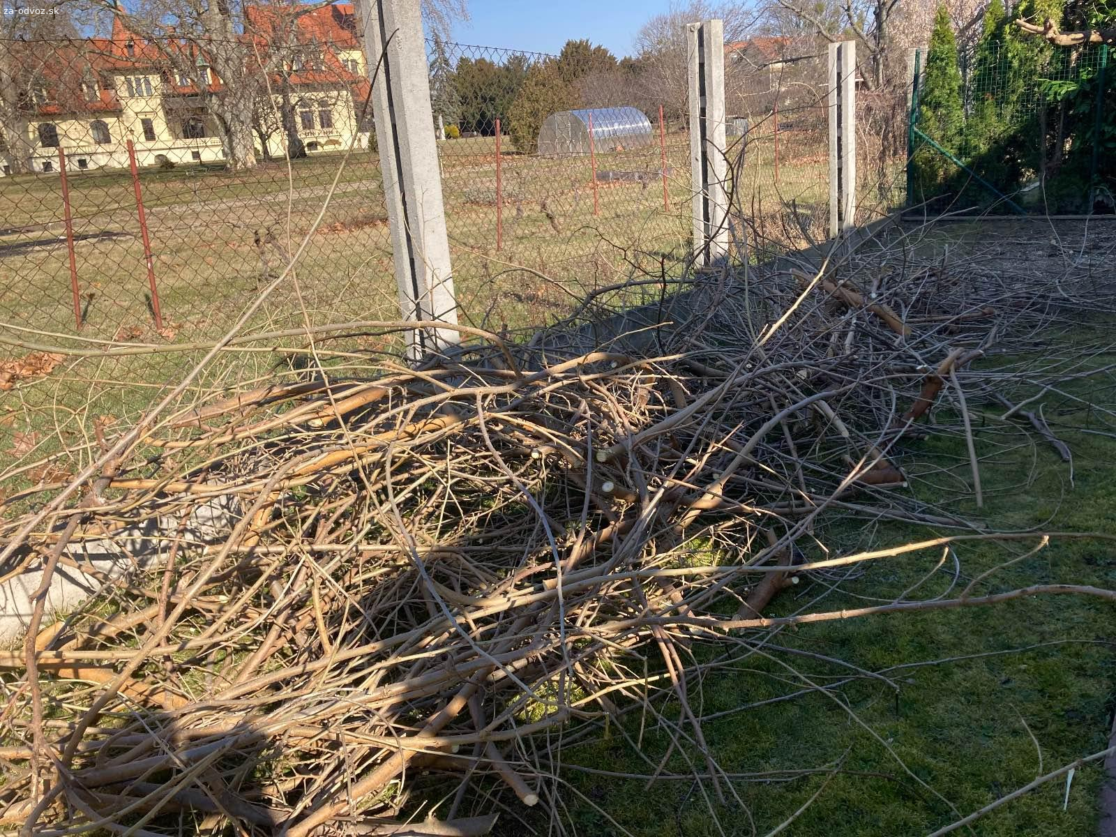 Darujem drevo kúrenie