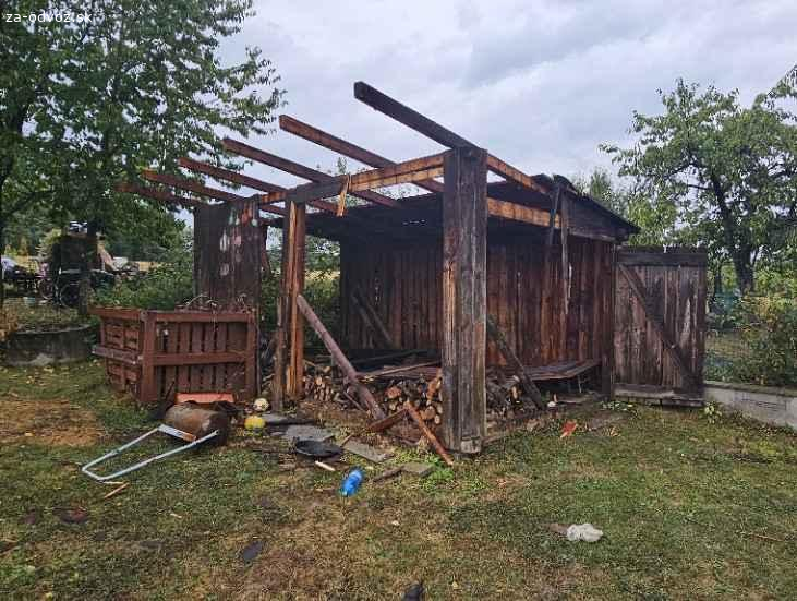 Darujem drevo za odvoz