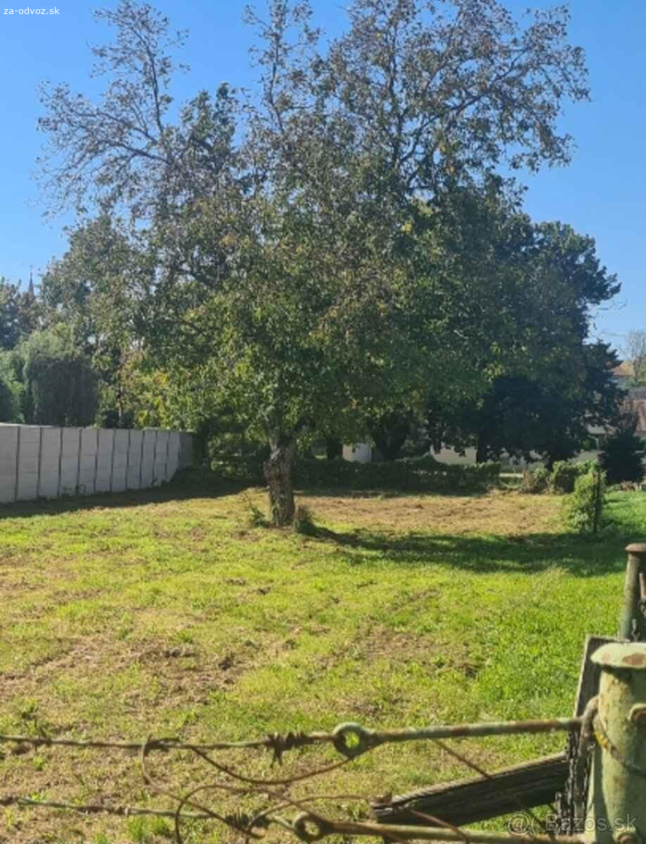 Darujem drevo za spílenie