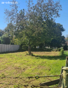 Darujem drevo za spílenie