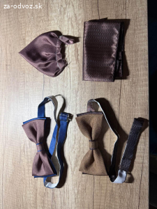 Darujem motýliky do obleku