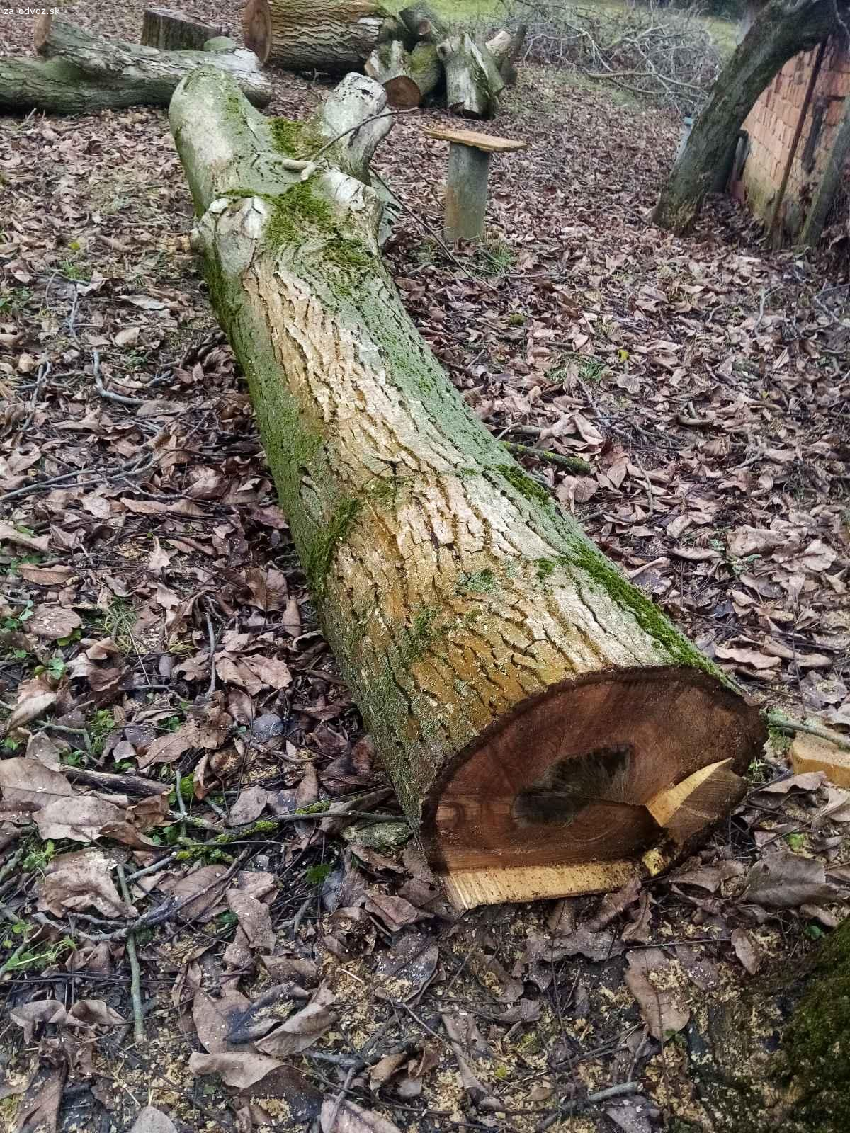 Darujem orechové pne