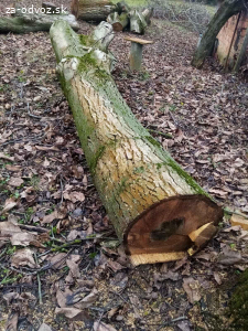 Darujem orechové pne