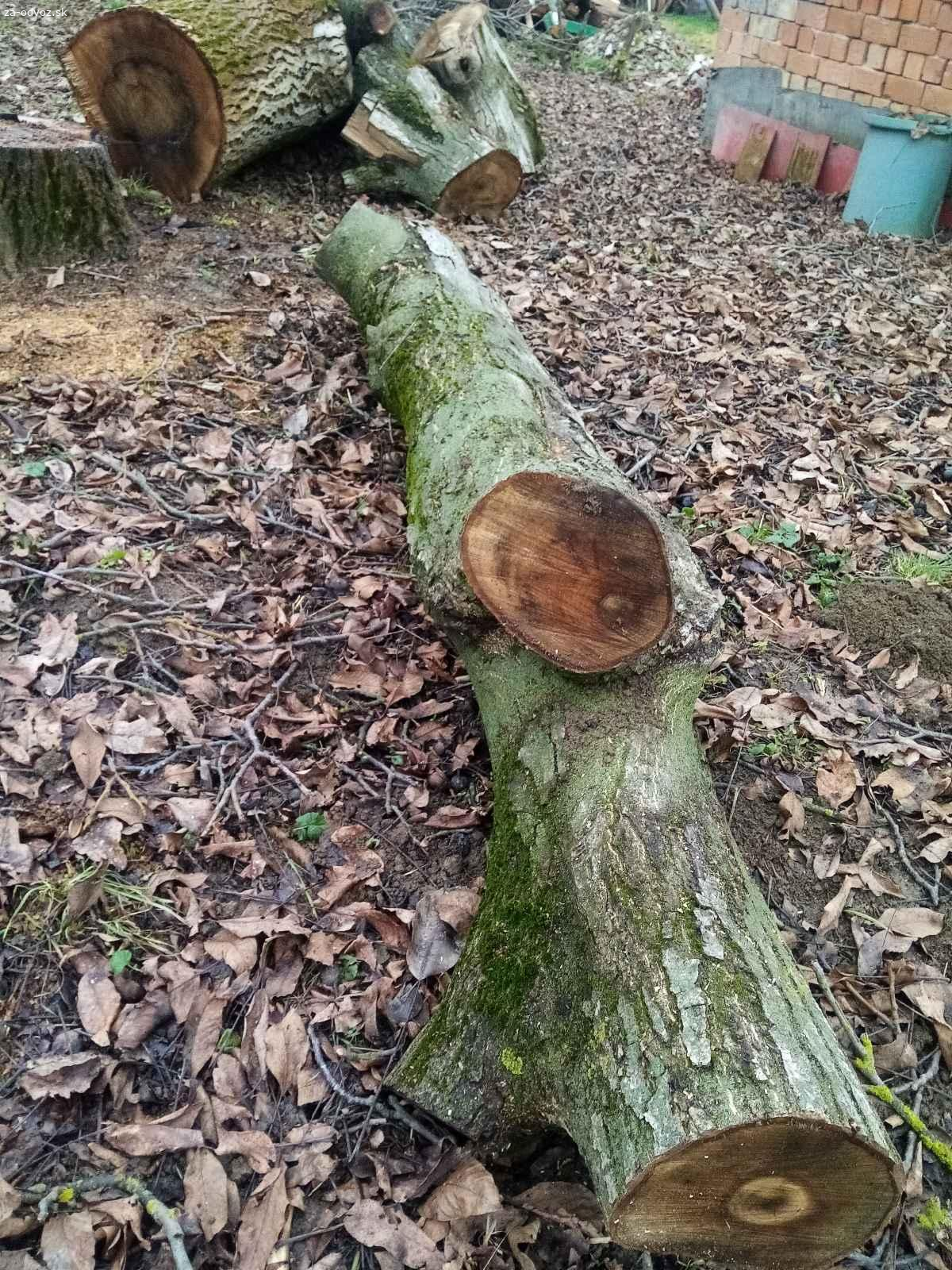 Darujem orechové pne