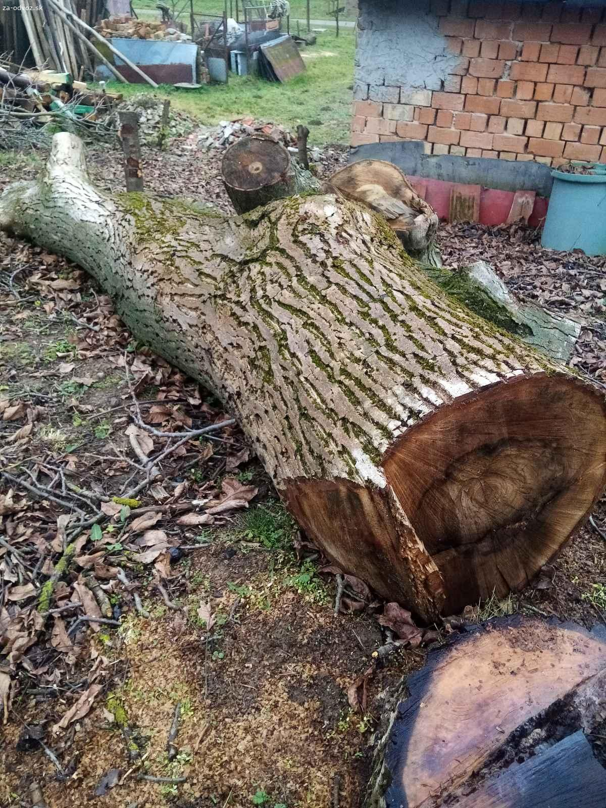 Darujem orechové pne