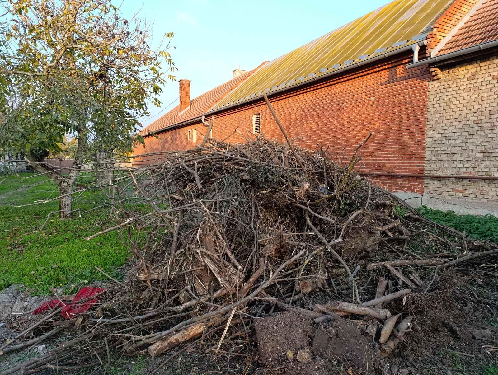 Darujem palivové drevo