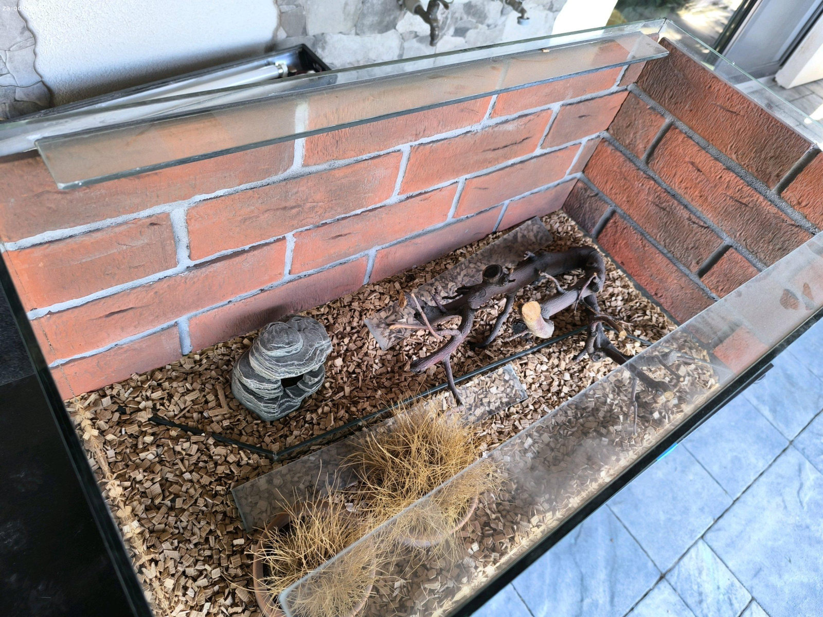 Darujem Terarium