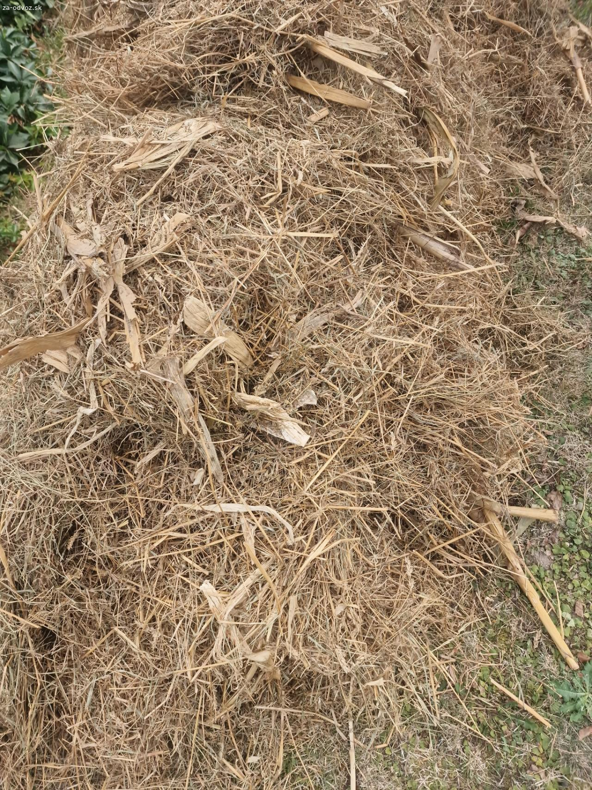 Darujem za odvoz Slámu mix