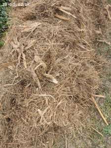 Darujem za odvoz Slámu mix