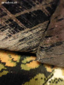 Darujem za odvoz zachovalou sedacku