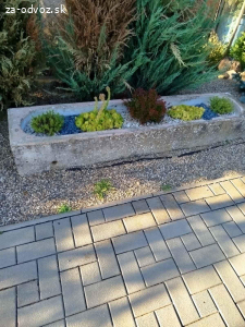 Darujem za odvoz