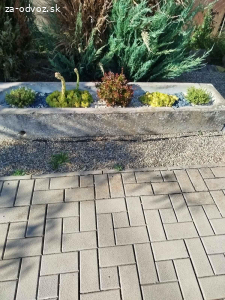 Darujem za odvoz