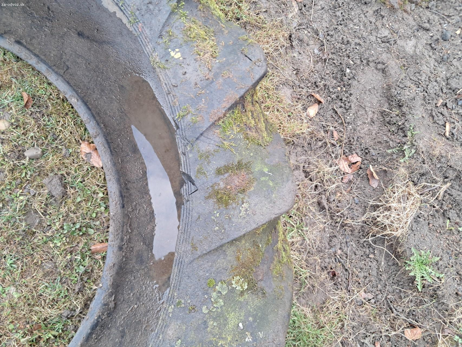 Dekorácia na záhradu