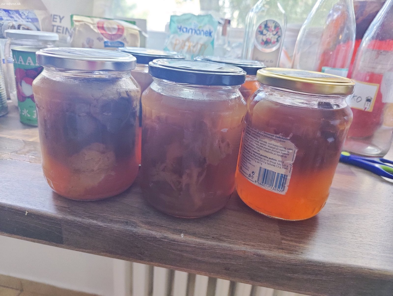 Kombucha scobi v naleve z Rooibosu. Kombucha scobi v naleve z Rooibosu