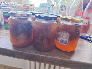 Kombucha scobi v naleve z Rooibosu