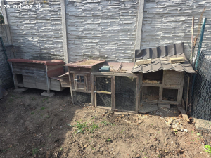 Kuríny a klietka na zajace