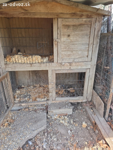 Kuríny a klietka na zajace