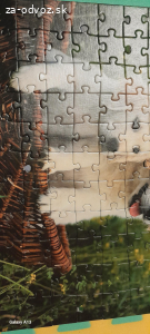 Puzzle 2x