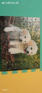 Puzzle 2x
