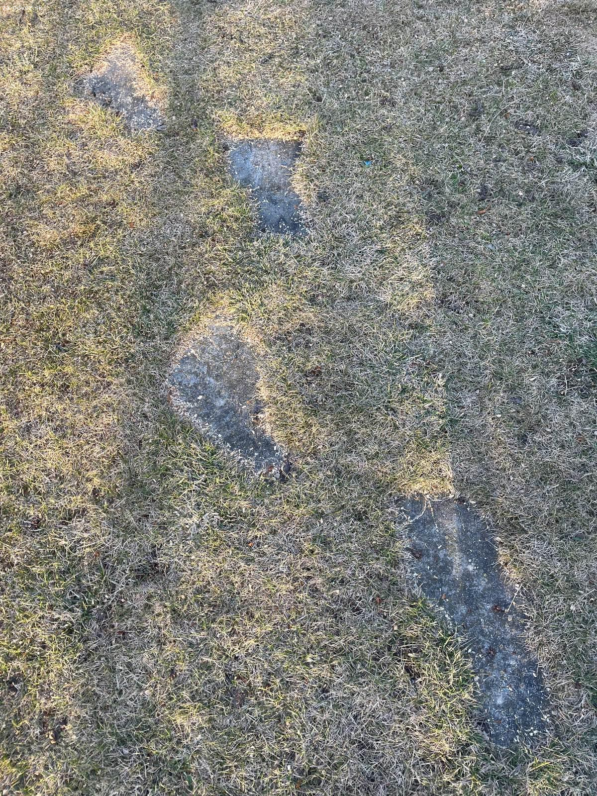 Záhradný chodník nohy