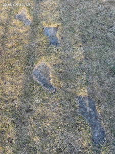 Záhradný chodník nohy